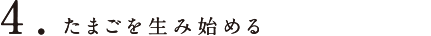 かなたま